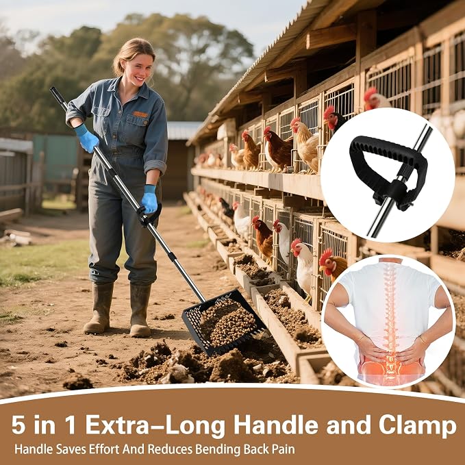 12-Inch Heavy Duty Chicken Poop Scooper & Rake 2-in-1 - Image 5