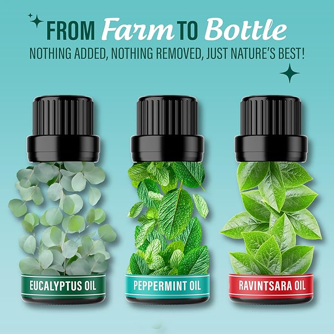 GuruNanda Breathe Essential Oil Set (Pack of 3 x 0.34 Fl Oz) - 100% Pure, Natural & Undiluted Diffuser Oils for Aromatherapy - Helps Support Clear Breathing - Suitable for Massages & DIY Recipes