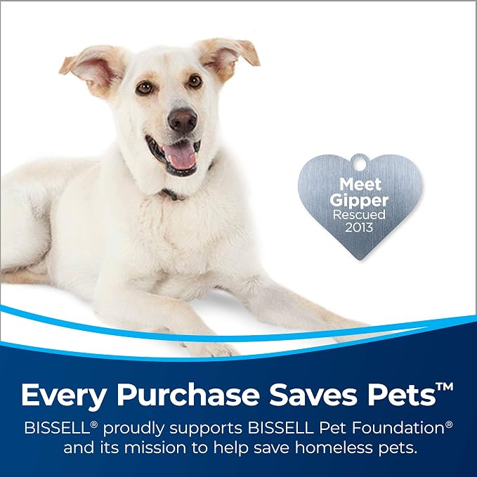 BISSELL air220 Air Purifier Replacement HEPA + Pre-Filter and Activated Carbon - Image 2