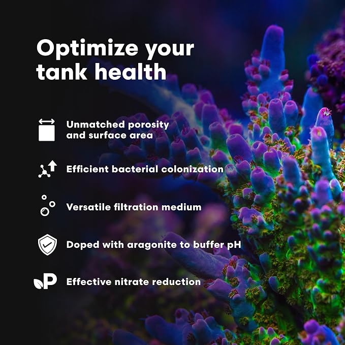 Brightwell Aquatics - Image 4
