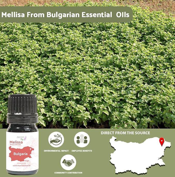 Melissa Essential Oil - Direct from Bulgarian Sustainable Farms - Steam Distilled - Aceite Toronjil for Aromatherapy, Massage, Diffuser, DIY Candle and Soap Making - 5ml