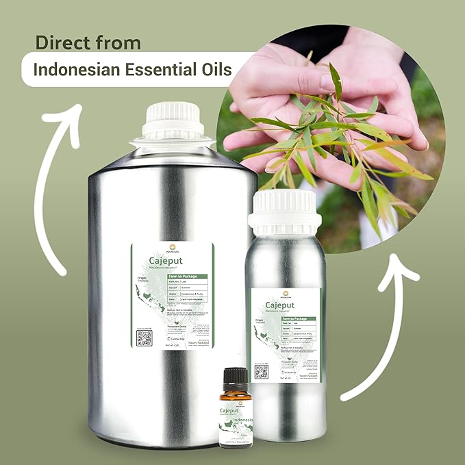Cajeput Essential Oil (15ml) - Direct from Central Java, Indonesia - Essential Oils for Diffusers Aromatherapy; Essential Oils for Body; Massage Oils | 100% Pure Therapeutic Grade