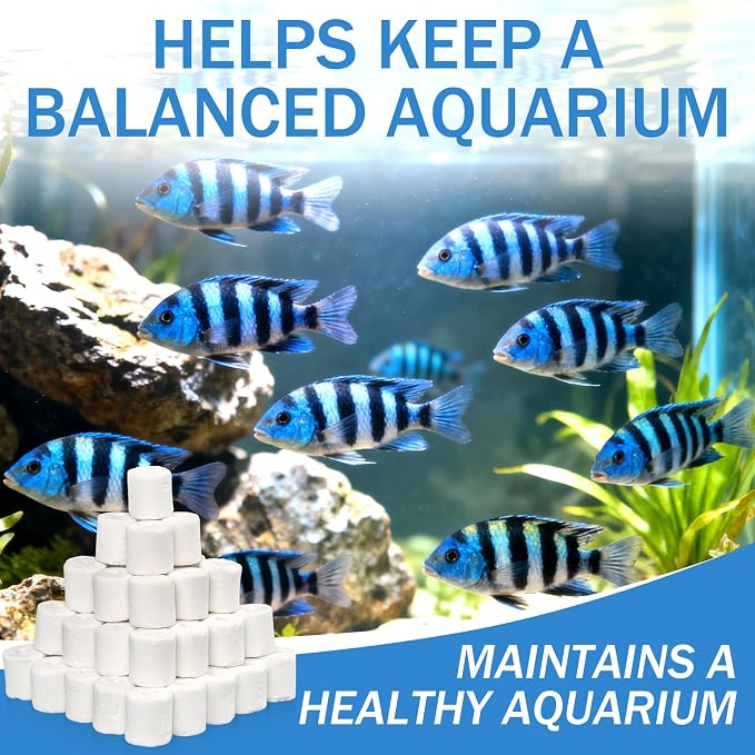 Sukh 3 Bags Ceramic Rings for Aquarium Filter - 425g Bio Ceramic Media Balls - Image 7