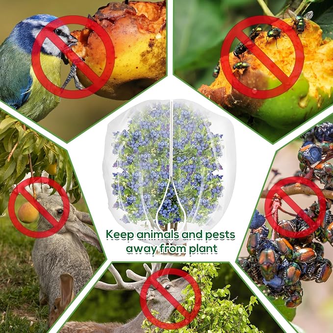 2PCS 4 x 5 ft Fruit Tree Netting Cover - Image 4