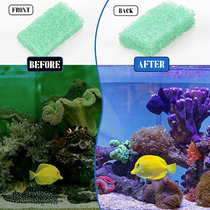 12 Pcs Phosphate Remover Inserts Compatible - Image 4