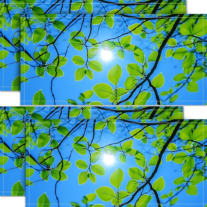 4 Pack 2x4 FT Magnetic Fluorescent Light Covers, Ceiling Light Filters by seewan