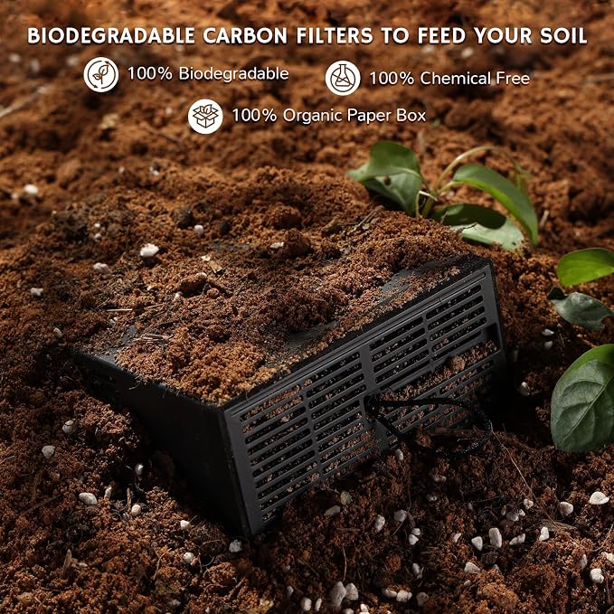 Airthereal Replacement Activated Carbon Filters - Image 3
