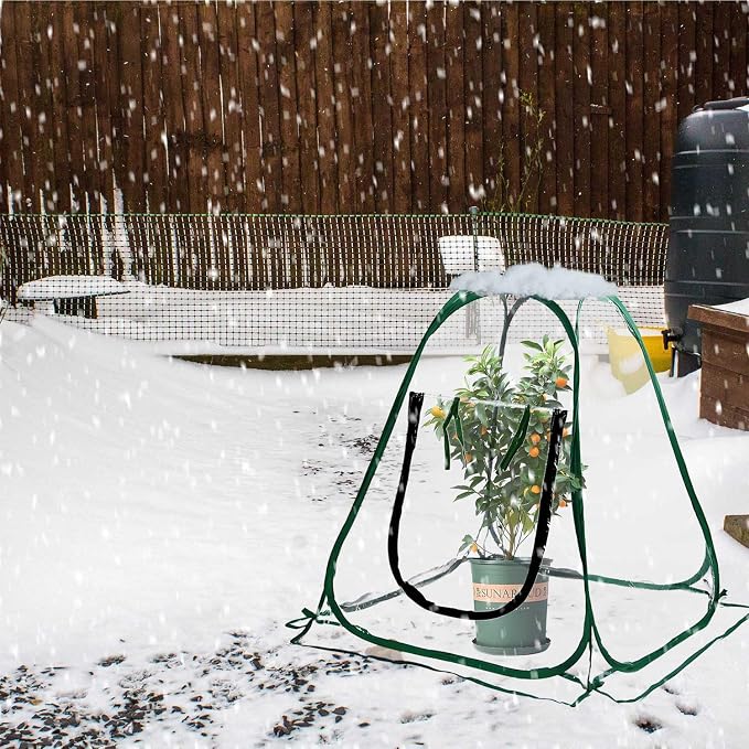 Plant Mini Greenhouse Pop Up Transparent Greenhouse Freeze Protection PVC Plant - Image 8