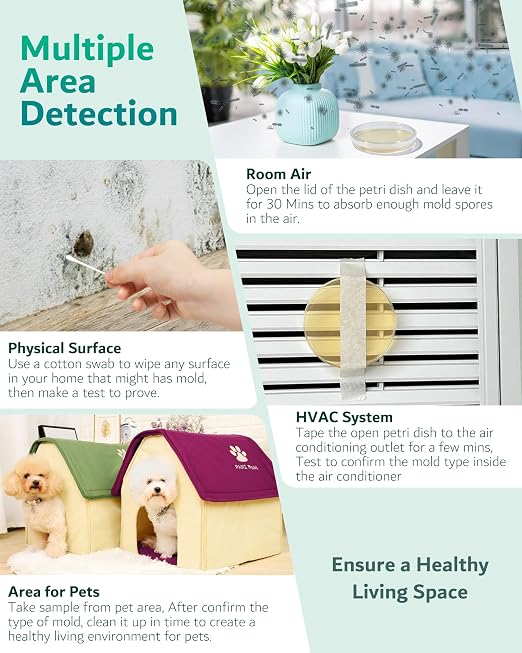 Mold Test Kit for Home - Image 5