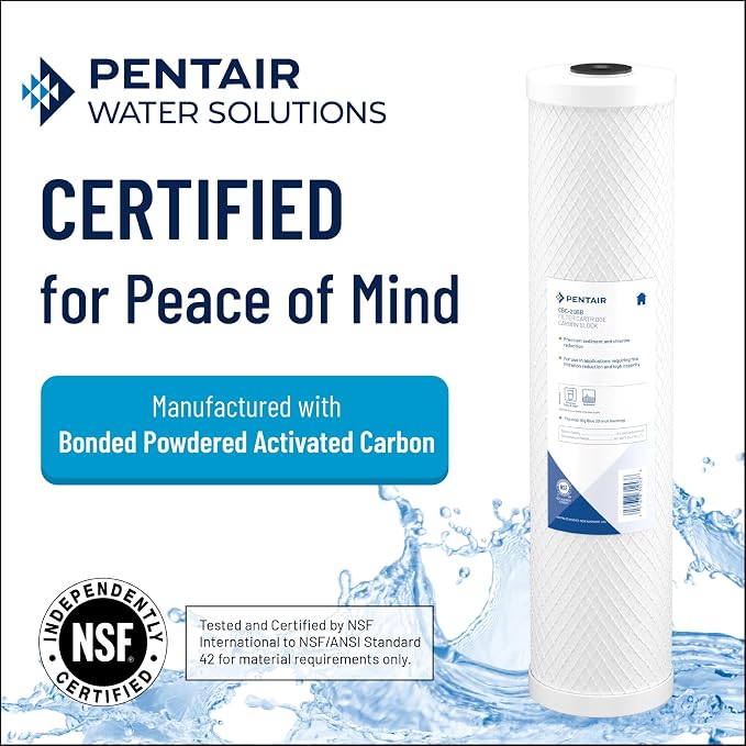 Pentair Pentek CBC-BB Big Blue Carbon Water Filter, Whole House Heavy Duty - Image 2