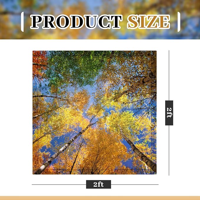 Baquler 2 Pcs 2 x 2 ft Fluorescent Light Covers - Image 2