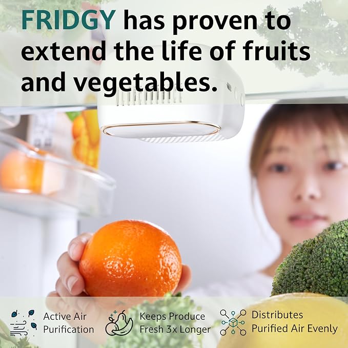 Fridge Air Purifier | Keeps Fridge Odor-Free & Produce Fresh Longer | Compact - Image 4