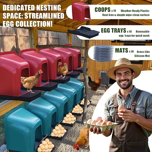 Nesting Boxes for Chickens - Image 2