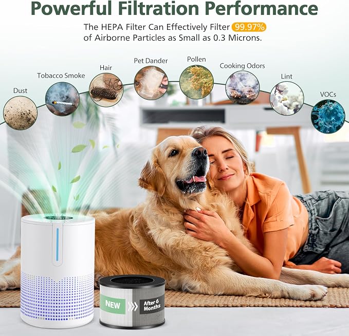 M01 Replacement Filter Only Compatible - Image 5