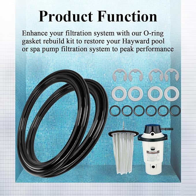 Diaphragm Gasket, Fit for Hayward Perflex DECX5000G, EC50AC Series Extended DE - Image 4