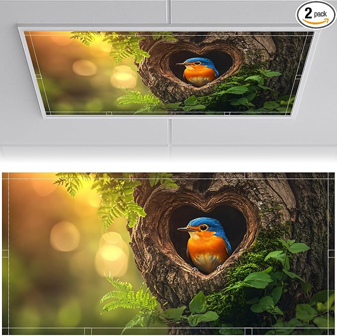2 Pack Fluorescent Light Covers 4x2 ft Magnetic Light Covers by seewan
