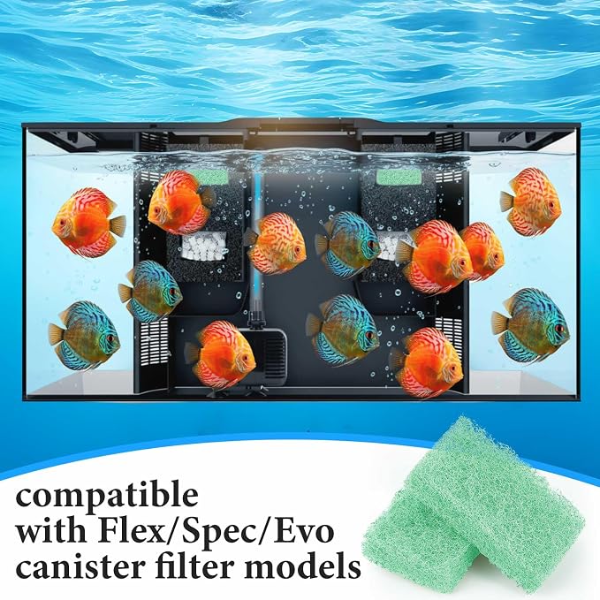 12 Pcs Phosphate Remover Inserts Compatible - Image 3