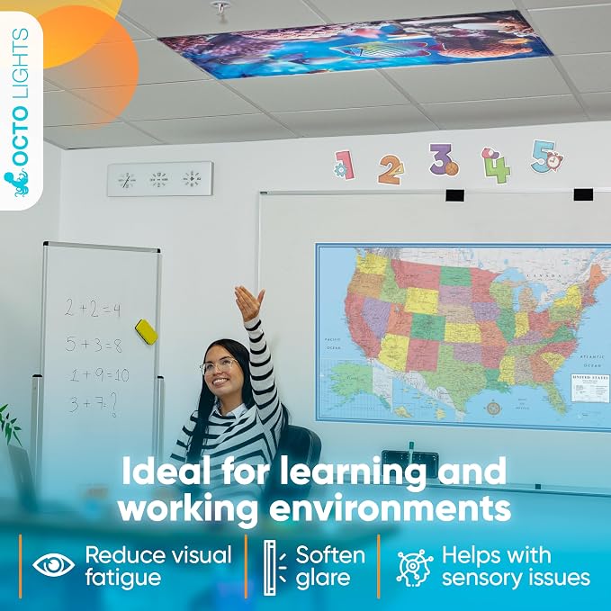 Light Covers for Ceiling Lights Classroom - Image 8