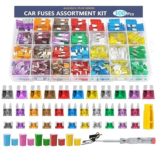 Automotive Fuses Assortment Kit by Auligex
