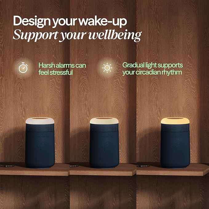 BLUEAIR Purifier for Bedroom - Image 3