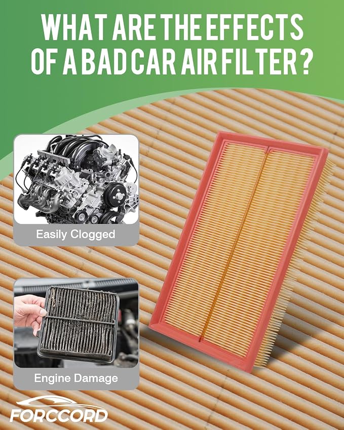 Cabin Air Filter and Engine Air Filter Fit - Image 4