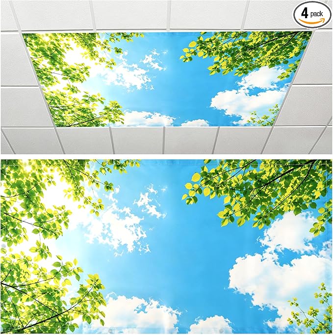 Fluorescent Light Covers for Ceiling Lights, 4 Pack 4 x 2 ft Magnetic Sky Cloud by Unknown