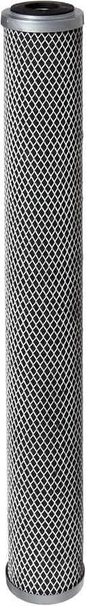 Pentair Pentek FloPlus-20 Carbon Water Filter, Whole House Modified Molded by PENTAIRPENTEK