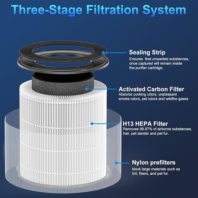 Tailulu 2 Pack D10 Replacement Filter, Air Purifier Filter - Image 2
