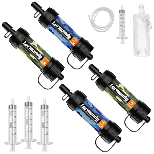 Mini Straw Water Filter by Lormandy