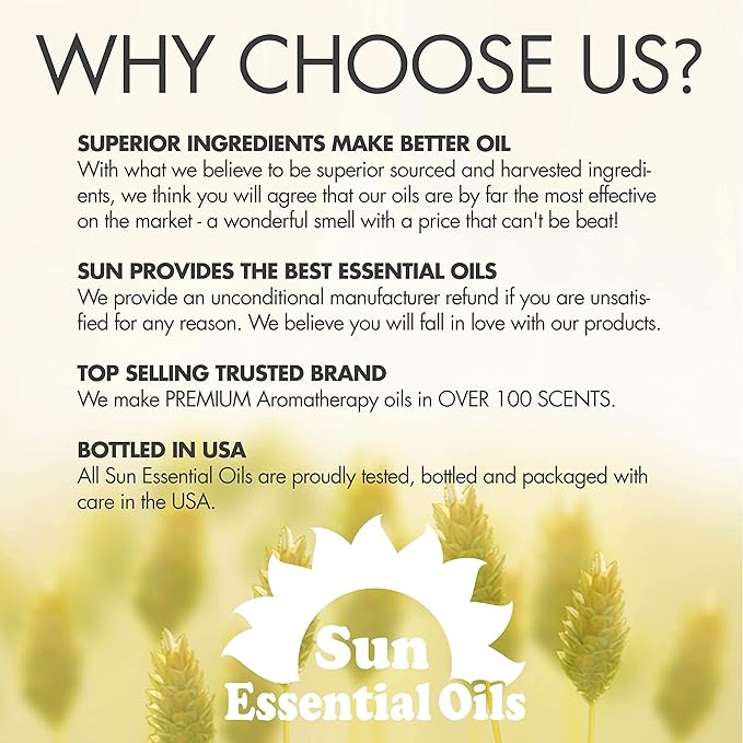 Sun Essential Oils 4oz - Fir Needle Essential Oil - 4 Fluid Ounces - Fir Needle Oil