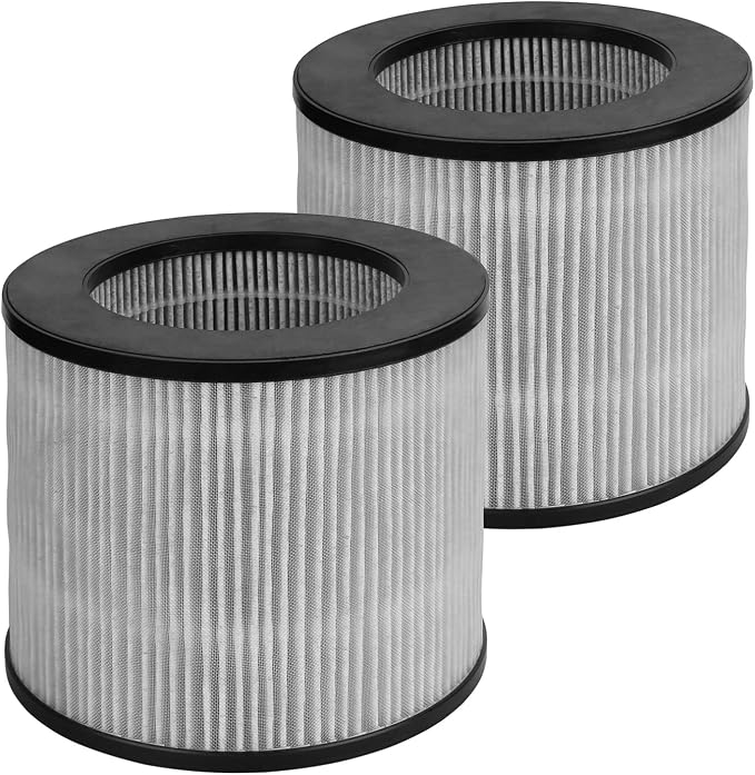2 PACK 2801 Replacement Filter Compatible by BuyItNow