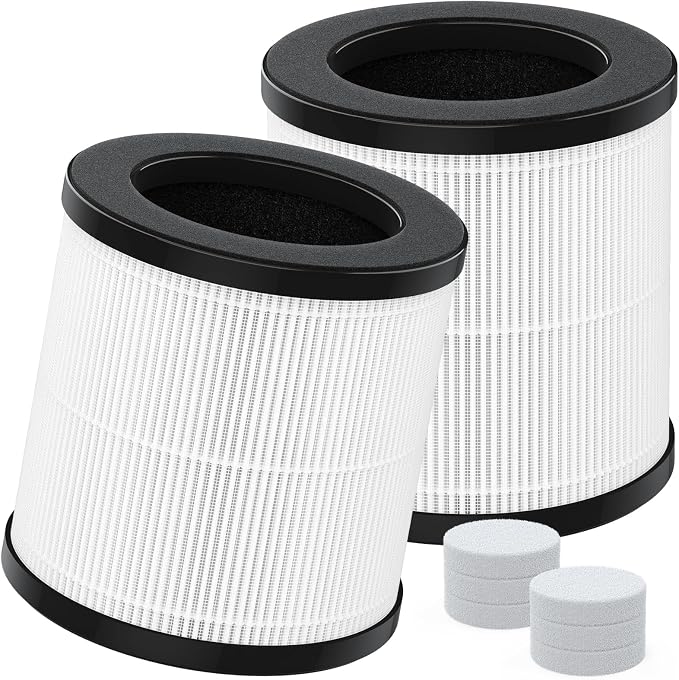 2-Pack BK08 Replacement Filter Compatible by GoKBNY