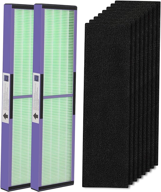 isinlive 2 Pack FLT5000 HEPA Filter C Replacement by isinlive
