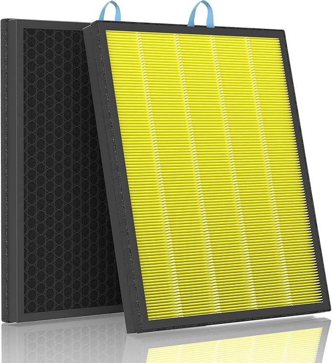 Leemone Vital 200S Replacement Filter, 2 Pack by Leemone