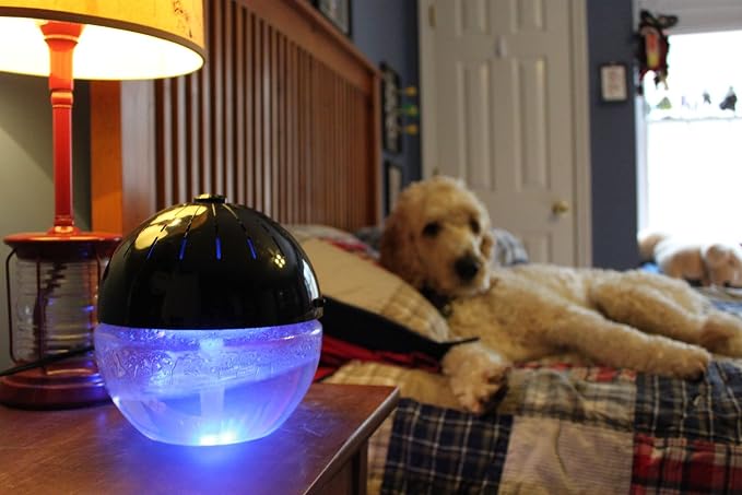 EcoGecko Earth Globe Air Revitalizer, Air Freshener, Room Aromatizer, Aroma and - Image 5