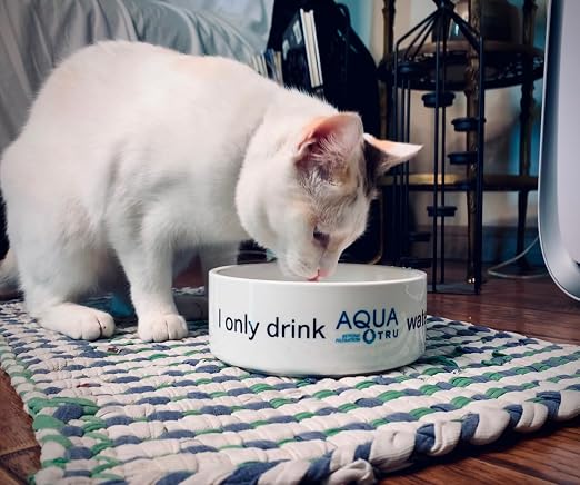 AquaTru Carafe Smart Countertop Water Purifier | App-Connected 4-Stage Reverse - Image 8