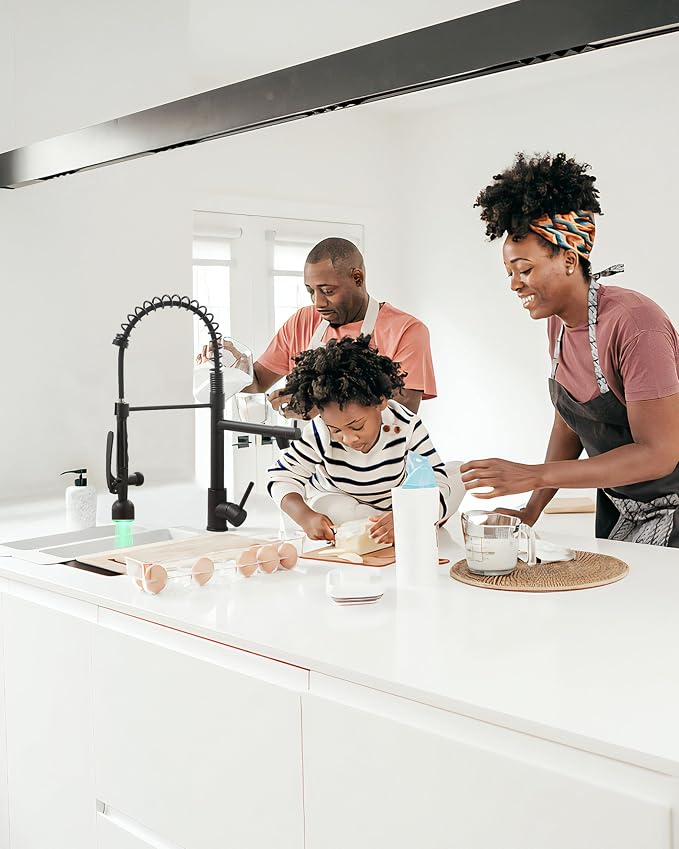 Fapully Black Kitchen Faucet - Image 3