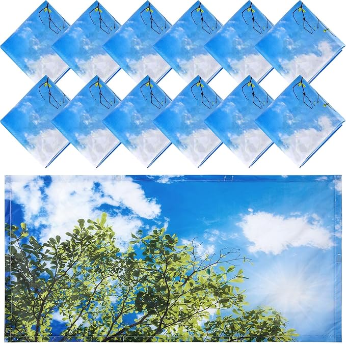Hortsun 12 Pcs Fluorescent Light Covers Bulk, 4 x 2 ft Magnetic Fluorescent by Hortsun