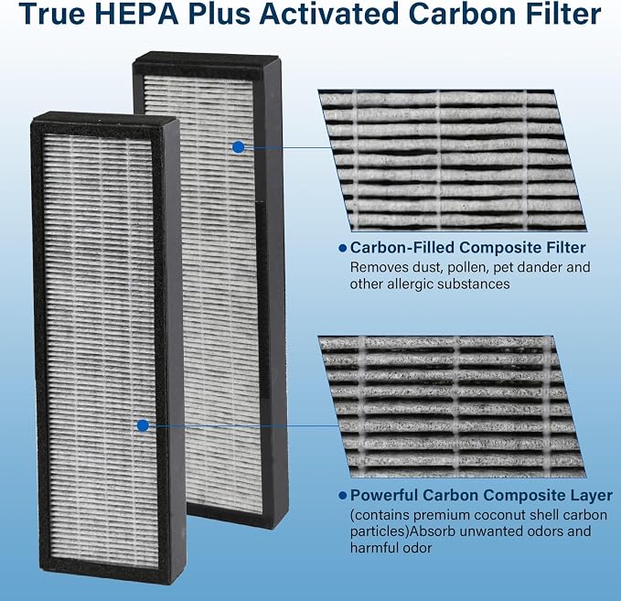 2 Pack HEPA Smoke Clear Filter B Fit - Image 4
