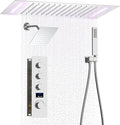 Shower System Chrome Shower Faucet Set with 14X20 inch Ceiling Mount Shower Head and 8 inch Wall Mount Shower Head, Handheld Shower, with Temperature Display Function