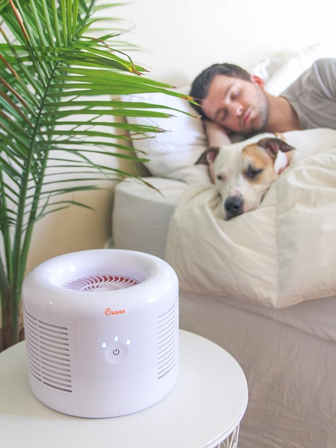 Crane HEPA Air Purifier, Air Purifiers - Image 7