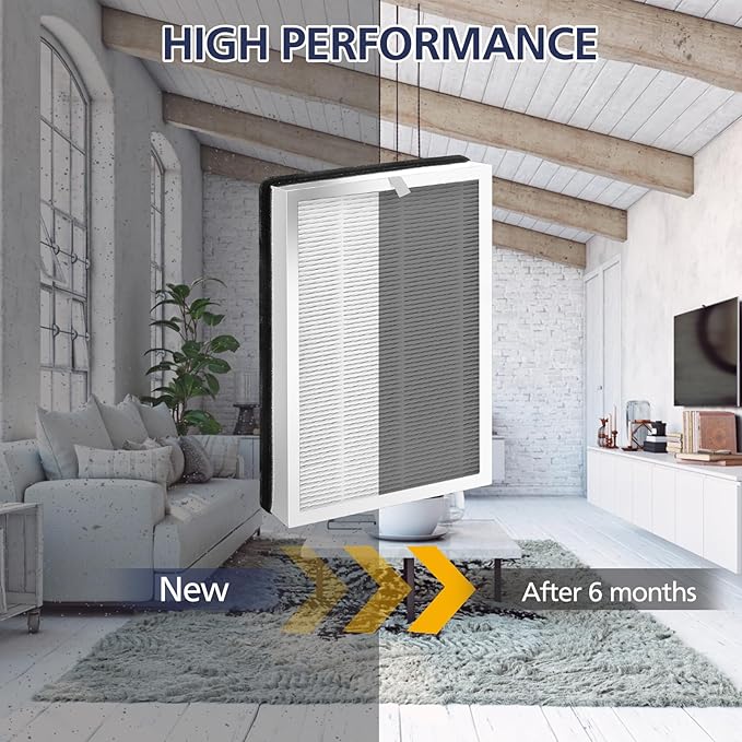25 Replacement Filter for 25 Air Purifier S1/W1/B1, 3-in-1 H13 True HEPA - Image 6