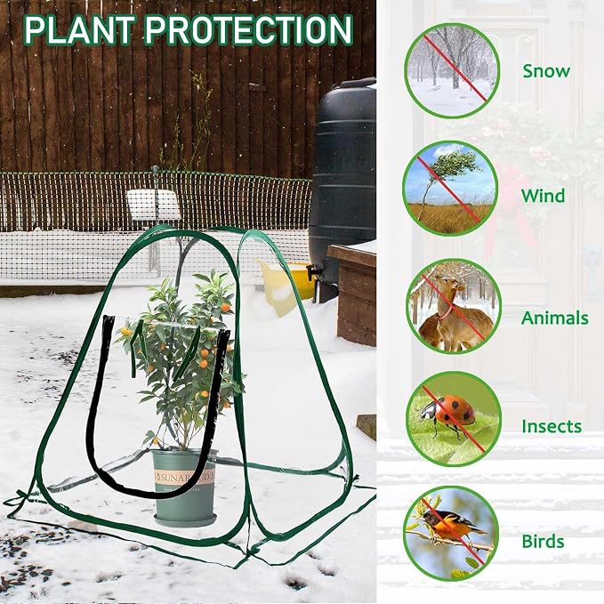 Plant Mini Greenhouse Pop Up Transparent Greenhouse Freeze Protection PVC Plant - Image 3
