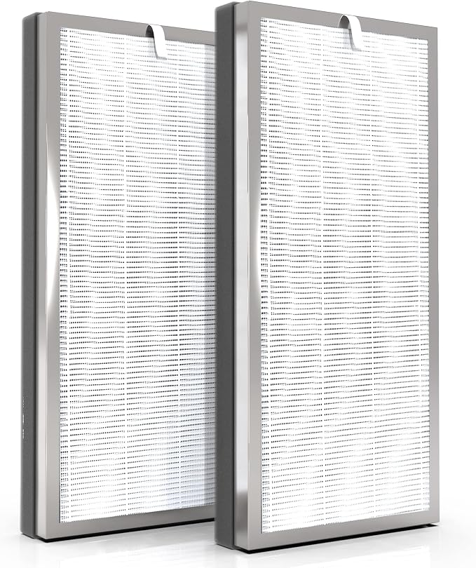 2-Pack Replacement Filter, Compatible by HOME