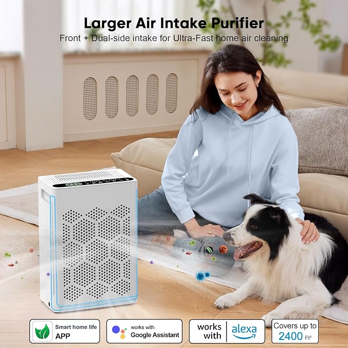 DAYETTE Air Purifiers for Home Large Room Up to 2400 Ft² - Image 5