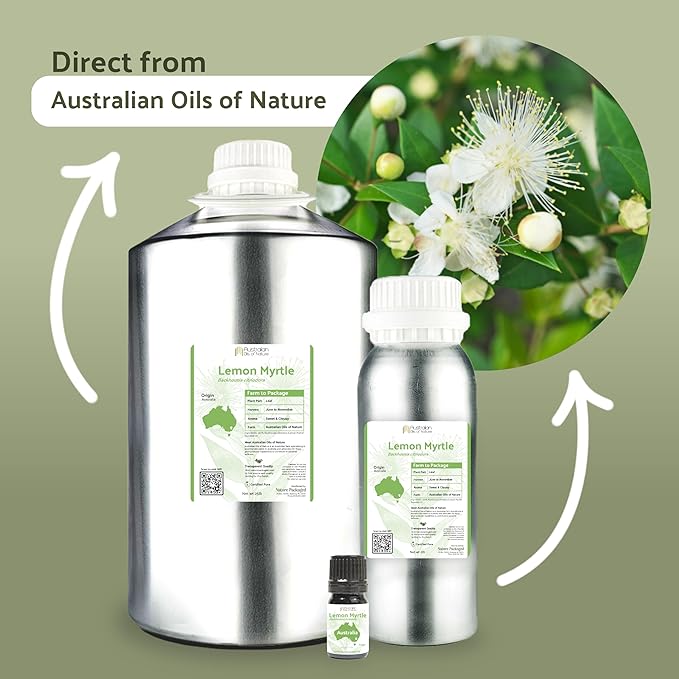 Lemon Myrtle Essential Oil - Experience an Invigorating, Fresh Citrus Aroma - Pure, Undiluted Therapeutic Grade Essential Oil - 5 ml