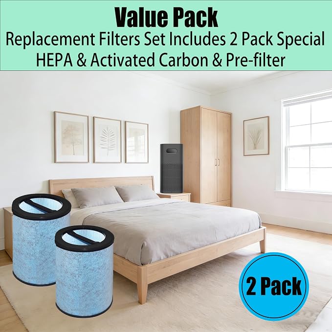 Special HEPA Filter Replacement - Image 3