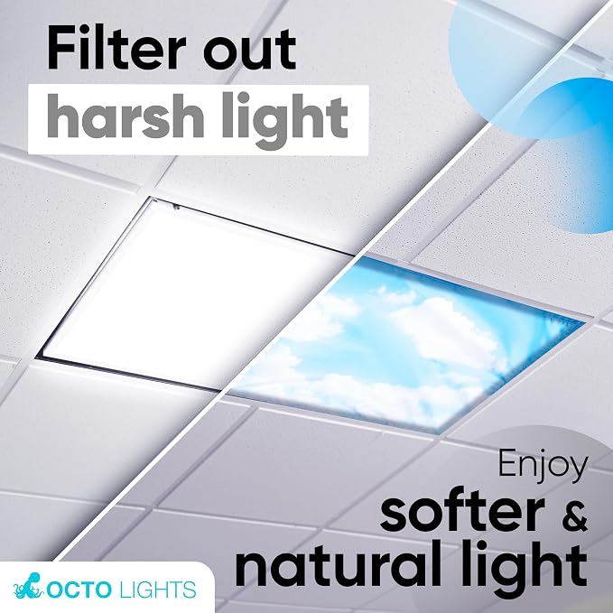 Fluorescent Light Covers for Ceiling Lights - Image 4