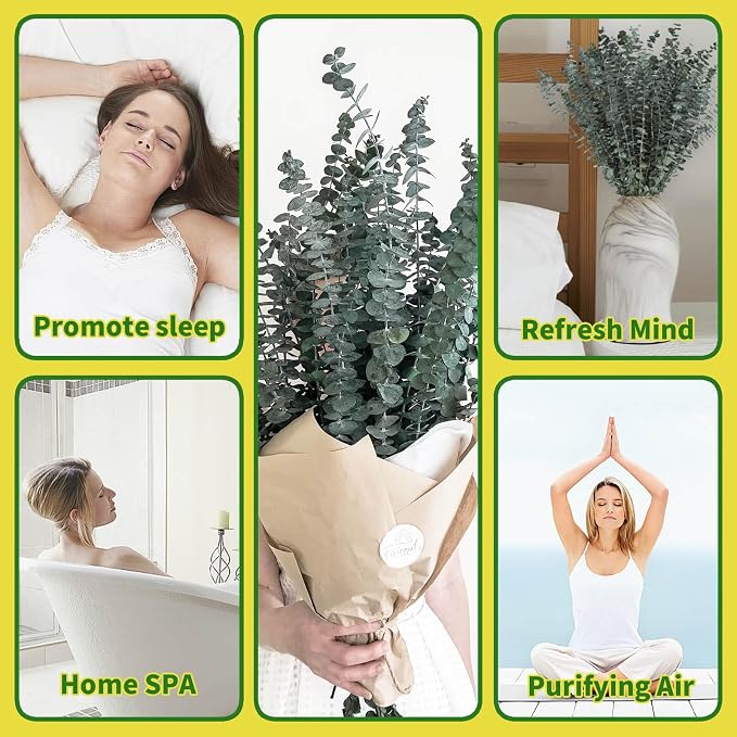 41 PCS Dried Preserved Eucalyptus Bundle - Image 5