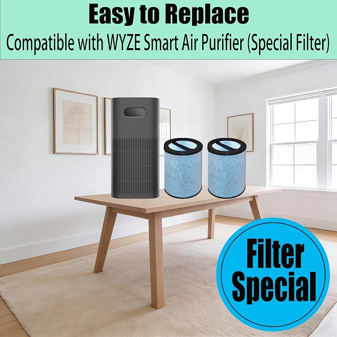 Special HEPA Filter Replacement - Image 6